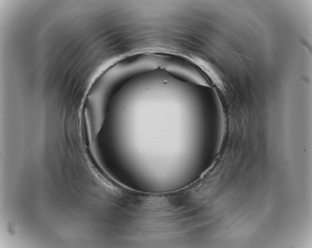 X0000091531238200708171213