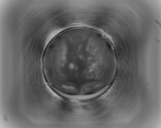X0000091531239200708171213