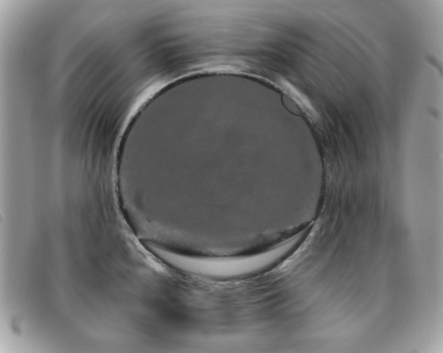 X0000091531240200708171213