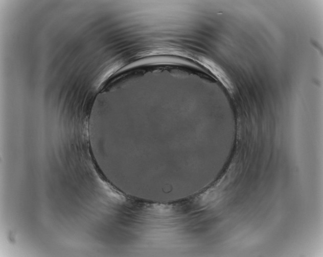 X0000091531241200708171213