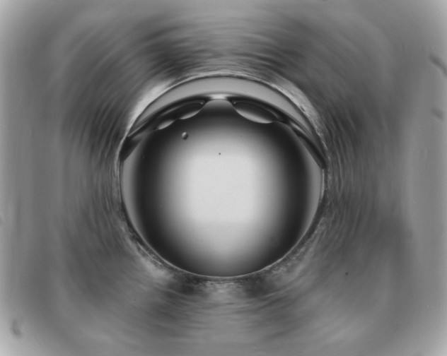 X0000091531242200708171213
