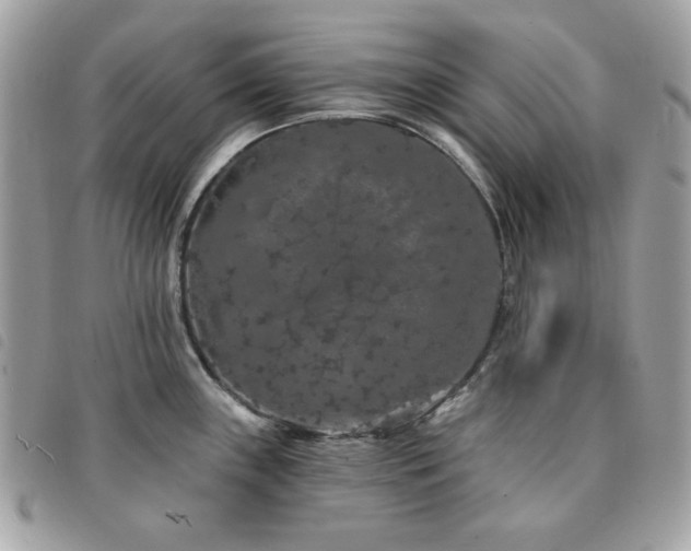 X0000091531243200708171213