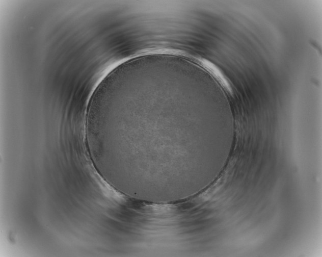 X0000091531244200708171213