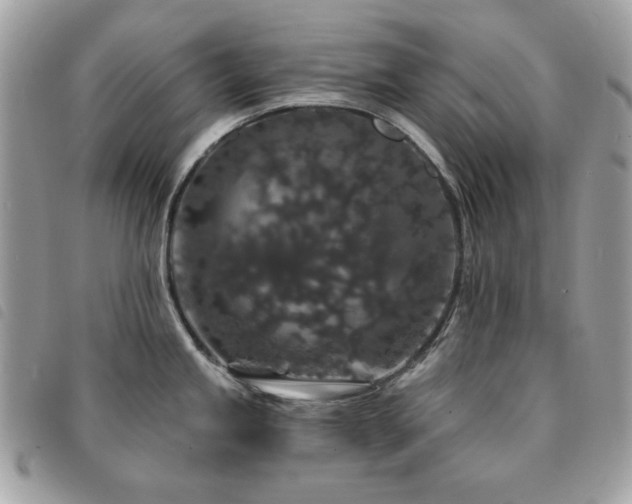 X0000091531245200708171213