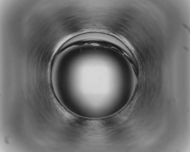 X0000091531246200708171213