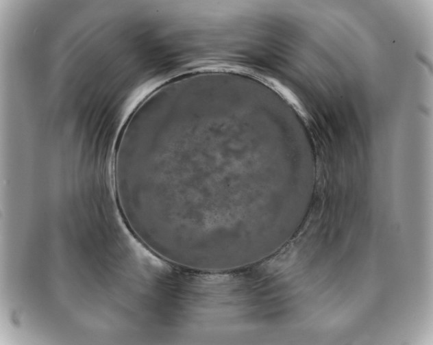 X0000091531247200708171213