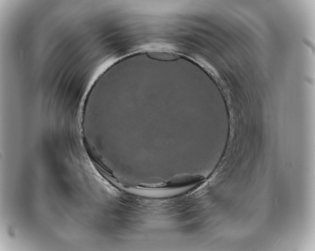 X0000091531248200708171213