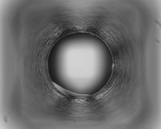 X0000091531249200708171213