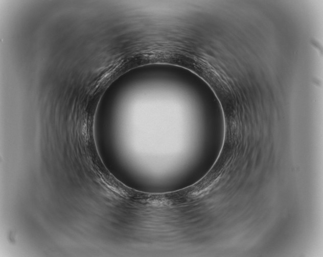 X0000091531250200708171213