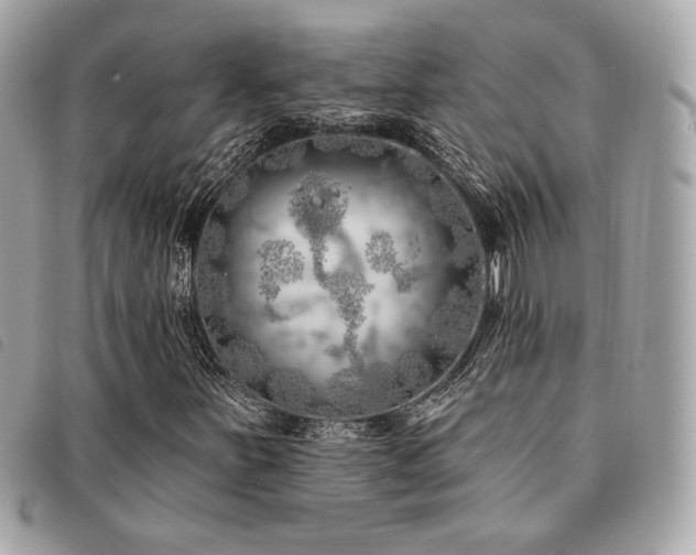 X0000091531251200708171213