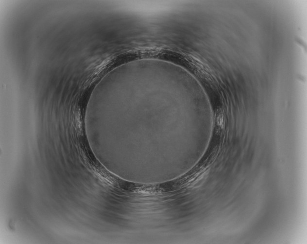 X0000091531252200708171213