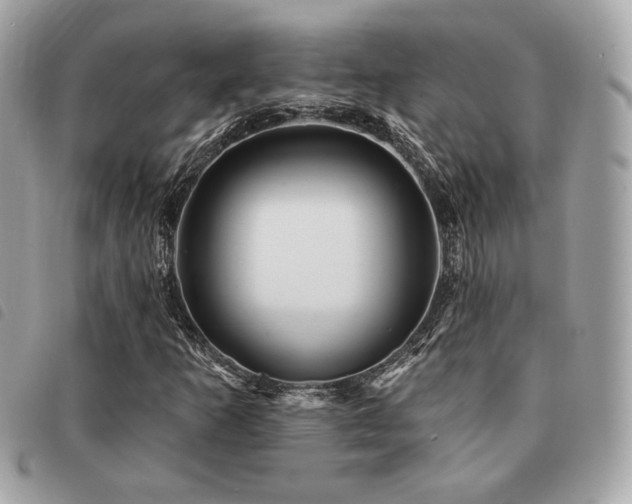 X0000091531253200708171213