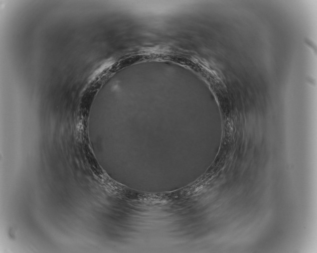X0000091531254200708171213
