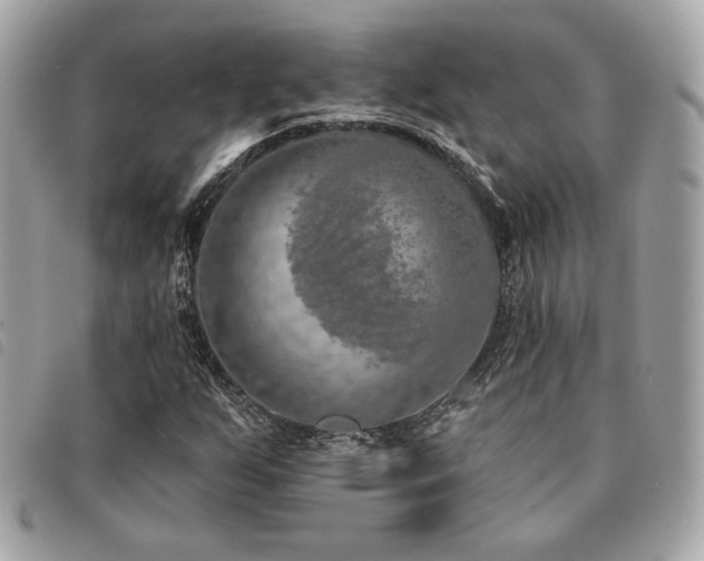 X0000091531255200708171213