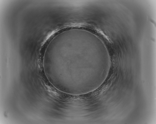 X0000091531256200708171213