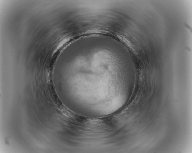X0000091531258200708171213