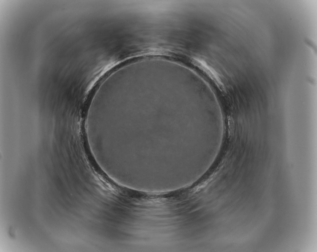 X0000091531260200708171213