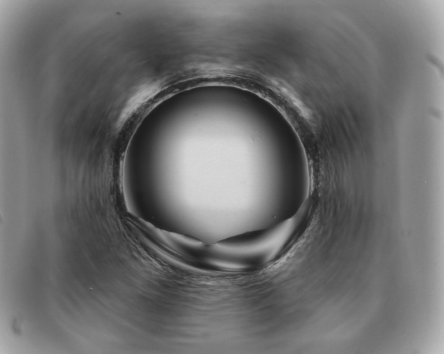 X0000091531261200708171213