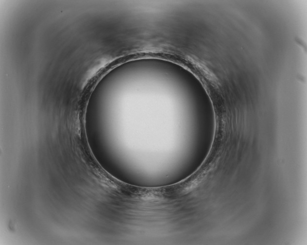 X0000091531262200708171213