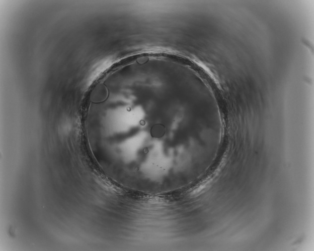 X0000091531263200708171212