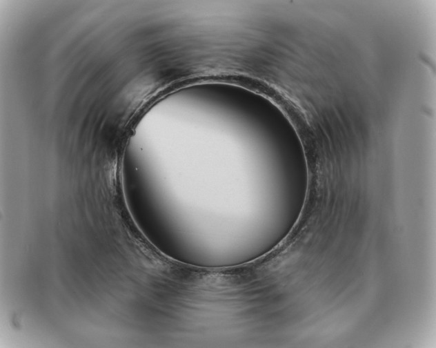 X0000091531265200708171212