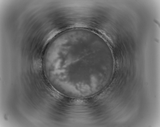 X0000091531266200708171212
