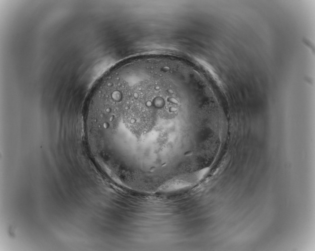 X0000091531267200708171212