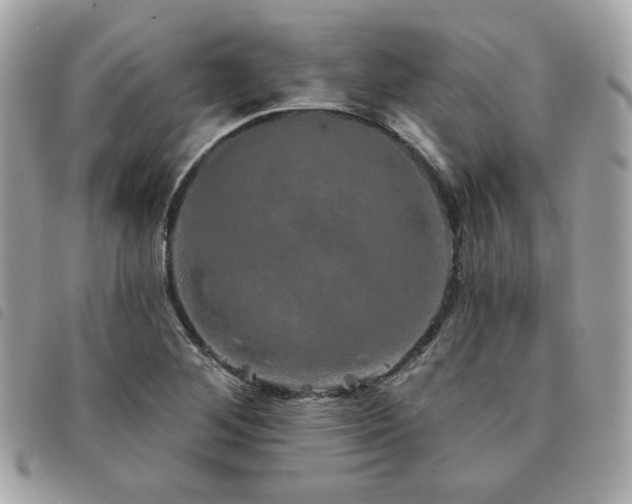 X0000091531268200708171212