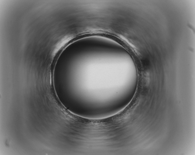 X0000091531269200708171212
