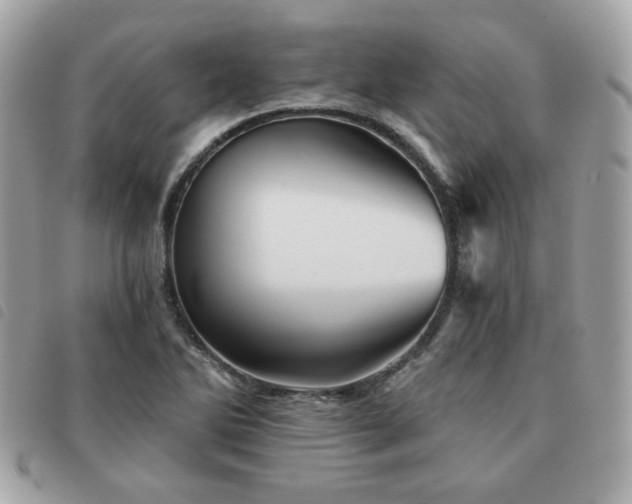 X0000091531270200708171212