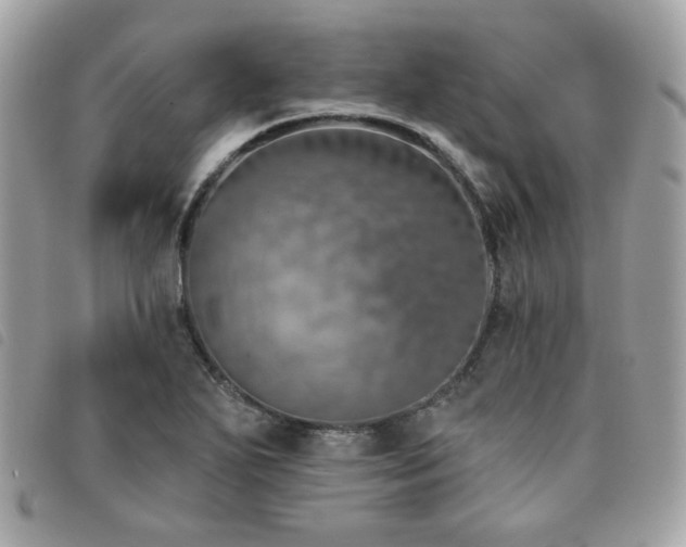 X0000091531271200708171212
