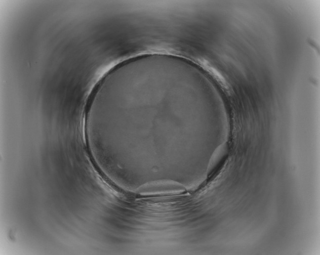 X0000091531272200708171212