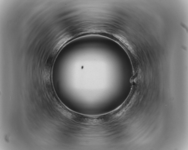 X0000091531273200708171212