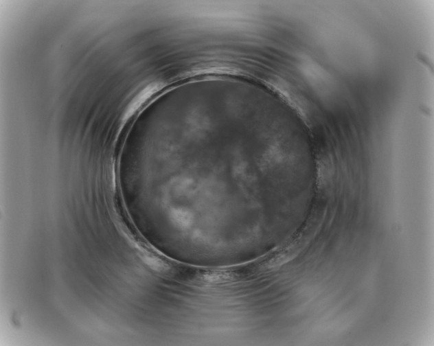X0000091531274200708171212