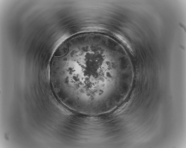 X0000091531275200708171212