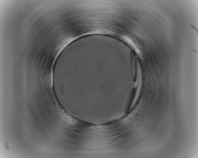 X0000091531276200708171212