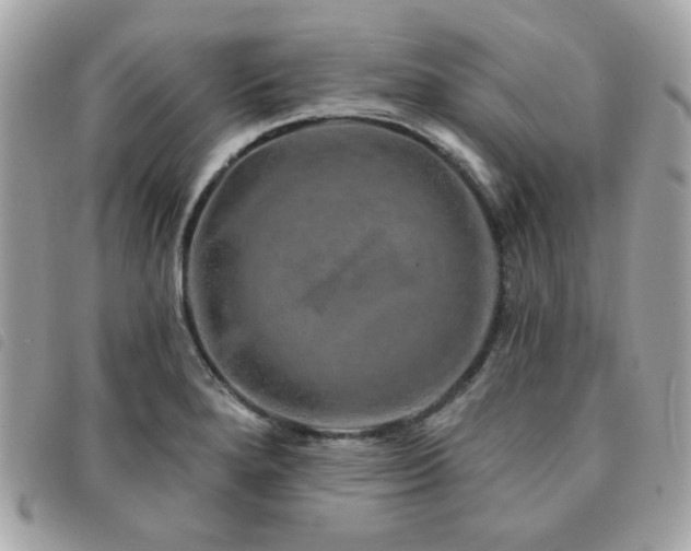 X0000091531280200708171212