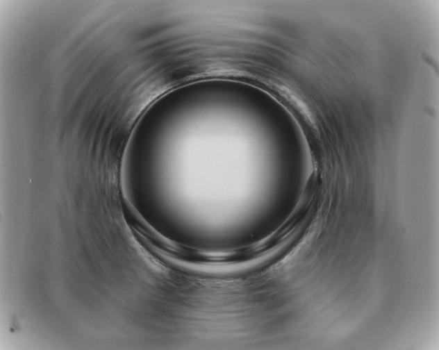 X0000091531281200708171212