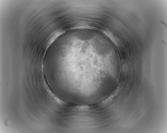 X0000091531282200708171212