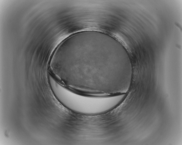 X0000091531284200708171212