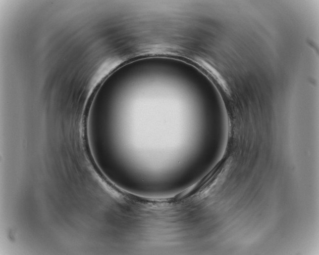 X0000091531285200708171212