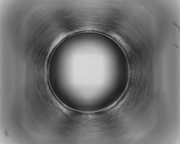 X0000091531286200708171212