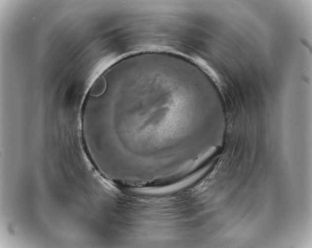 X0000091531287200708171212