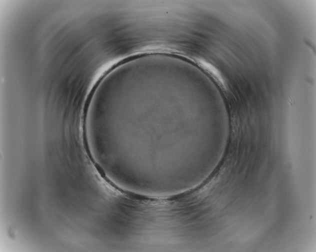 X0000091531288200708171212