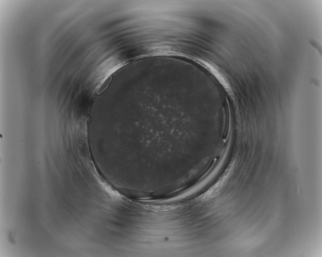 X0000091531289200708171212