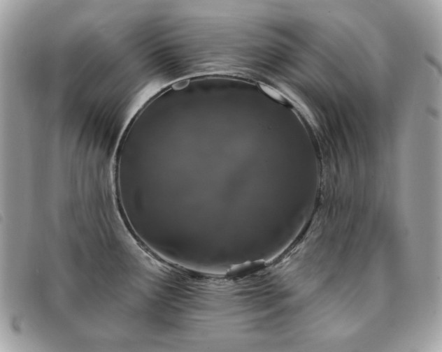X0000091531291200708171212
