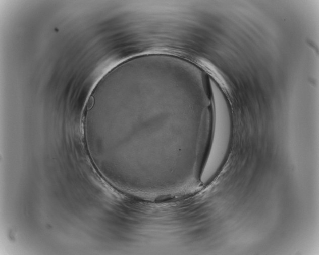 X0000091531292200708171212