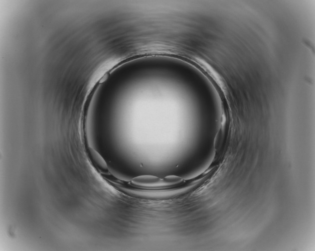 X0000091531293200708171212