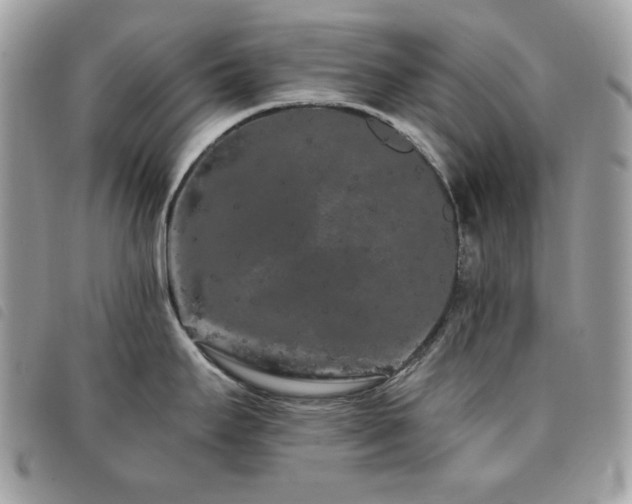 X0000091531295200708171212
