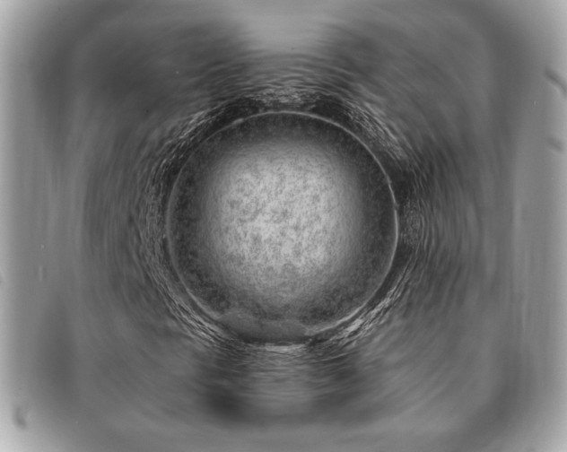 X0000091531297200708171211